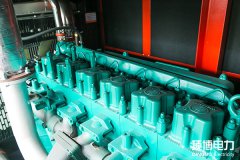 常見柴油機型號的含義是什么？