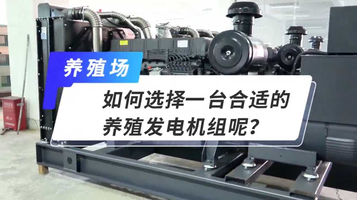 「視頻」如何選擇一臺合適的養(yǎng)殖發(fā)電機組呢？