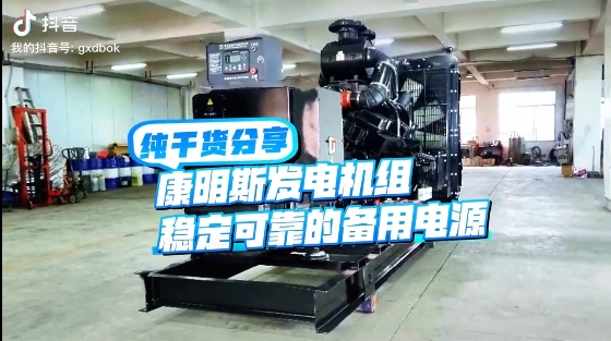 「視頻」如何應(yīng)對(duì)夏天斷電危機(jī)？640KW康明斯發(fā)電機(jī)組助您輕松應(yīng)對(duì)挑戰(zhàn) 